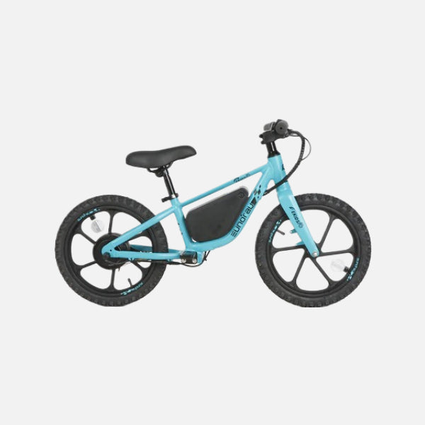 Eunorau EKids-16: 24V 10Ah Battery, 180W Motor, 13 MPH Top Speed, 25 Mile Range, Ages 5+