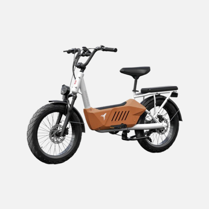 Himiway C3 Electric Bike, Top Speed 20Mph, 48V 20Ah Battrey, 750W Motor, 20" X 3" Fat Tire