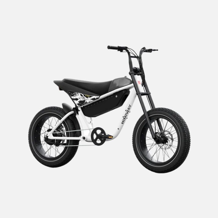 Himiway C5 Electric Bike, Top Speed 20Mph, Dual 48V 20Ah Battery, 750W Motor 20" X 4" Fat Tires