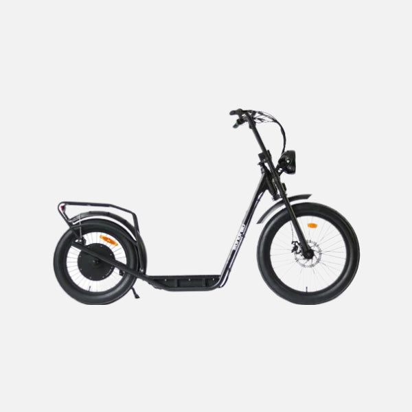 Eunorau Jumbo 48V Electric Bike, 1000W Motor, 21.7 MPH Top Speed, 15.6Ah Battery, 265 lbs Capacity