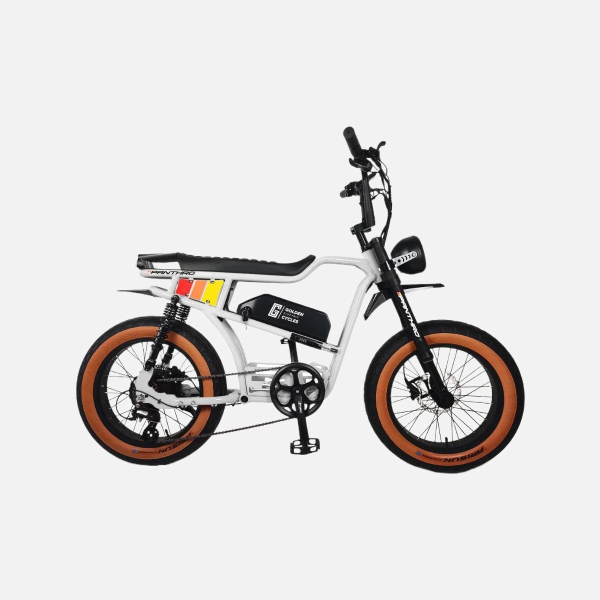 Golden cycles panthro ebike 750w motor 28mph