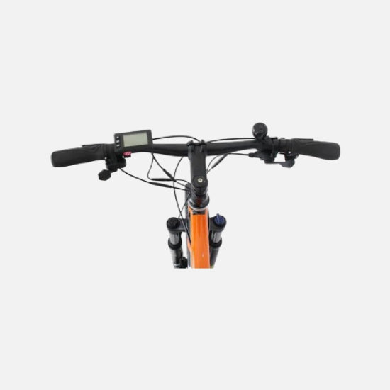 Dynalion S1 350v motor 20mph 48V 11.6/17.5Ah Battery pack Type C connectivity LCD Display