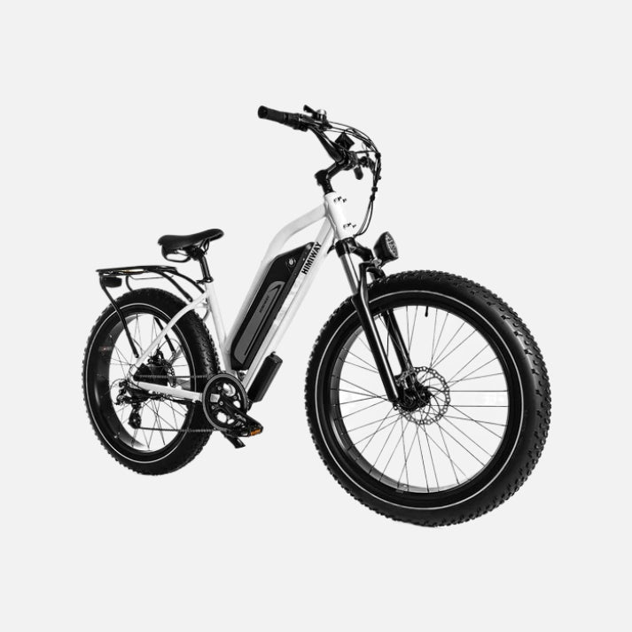 Himiway D3 Cruiser ST E-Bike 750W Motor 25mph Top Speed 35-50 Miles Range Fat Tires